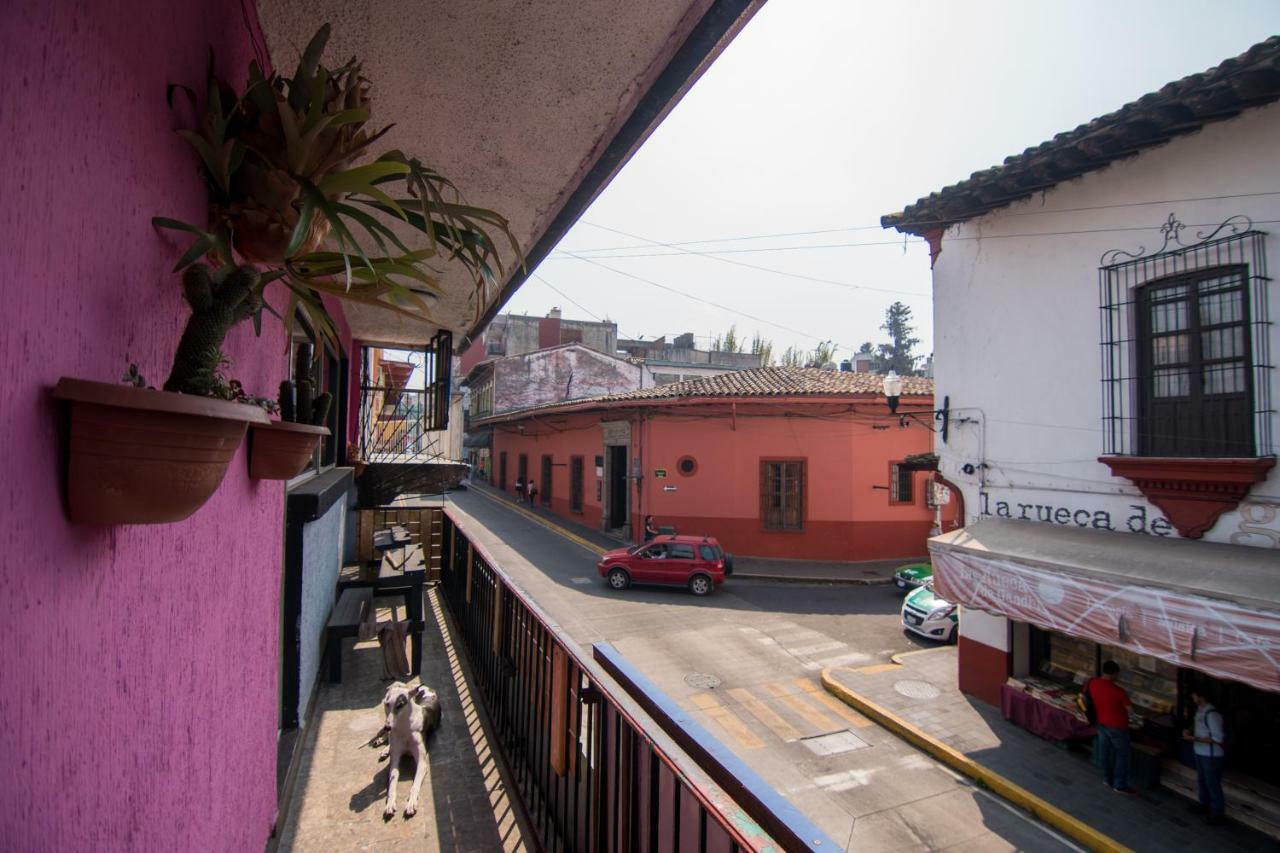 Hostal 50 Xalapa Dış mekan fotoğraf