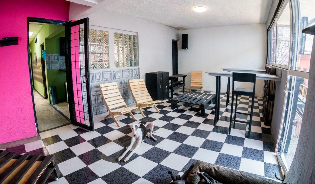 Hostal 50 Xalapa Dış mekan fotoğraf