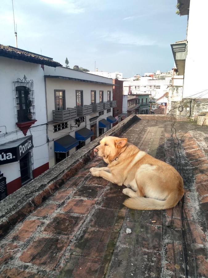 Hostal 50 Xalapa Dış mekan fotoğraf